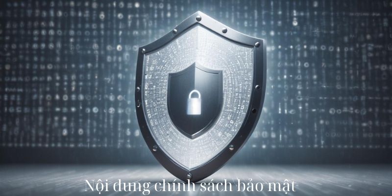 Các nội dung của chính sách bảo mật HCM66